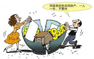 同居期間的財產(chǎn)性質(zhì) 同居期間的財產(chǎn)歸屬