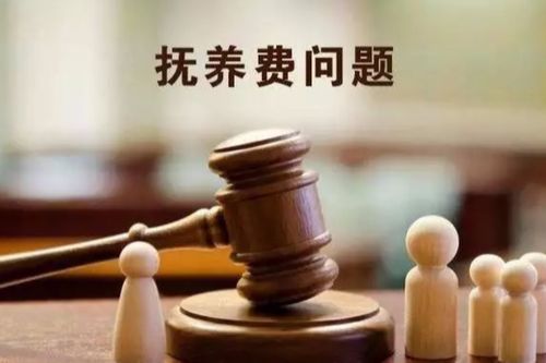 鶴山男子離婚后未如約支付撫養費被起訴 法官調解發現