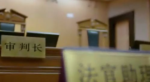 一男子以 女兒非親生 訴訟離婚,法院一審駁回,女方提出要房產