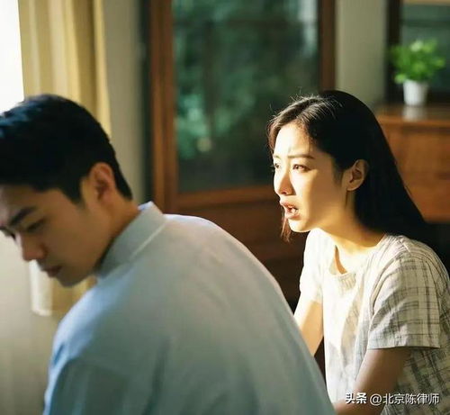 婚姻圍城中的法律暗影 北京陳律師談婚姻關系中的刑事豁免困境